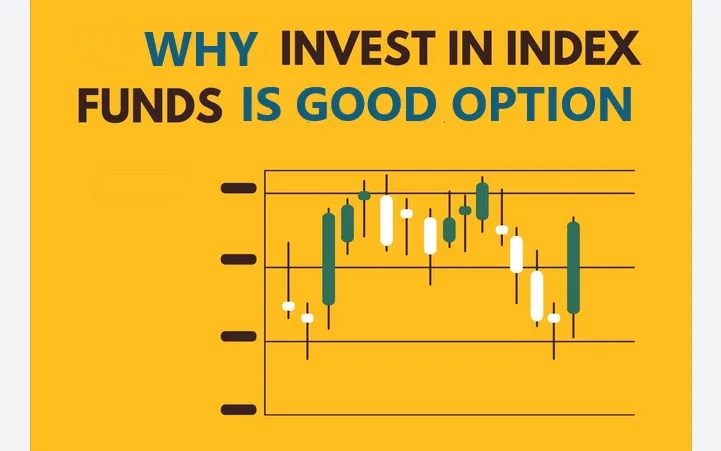 Index investing, 5 Reasons Why Index Funds are a Good Option for Beginners, 