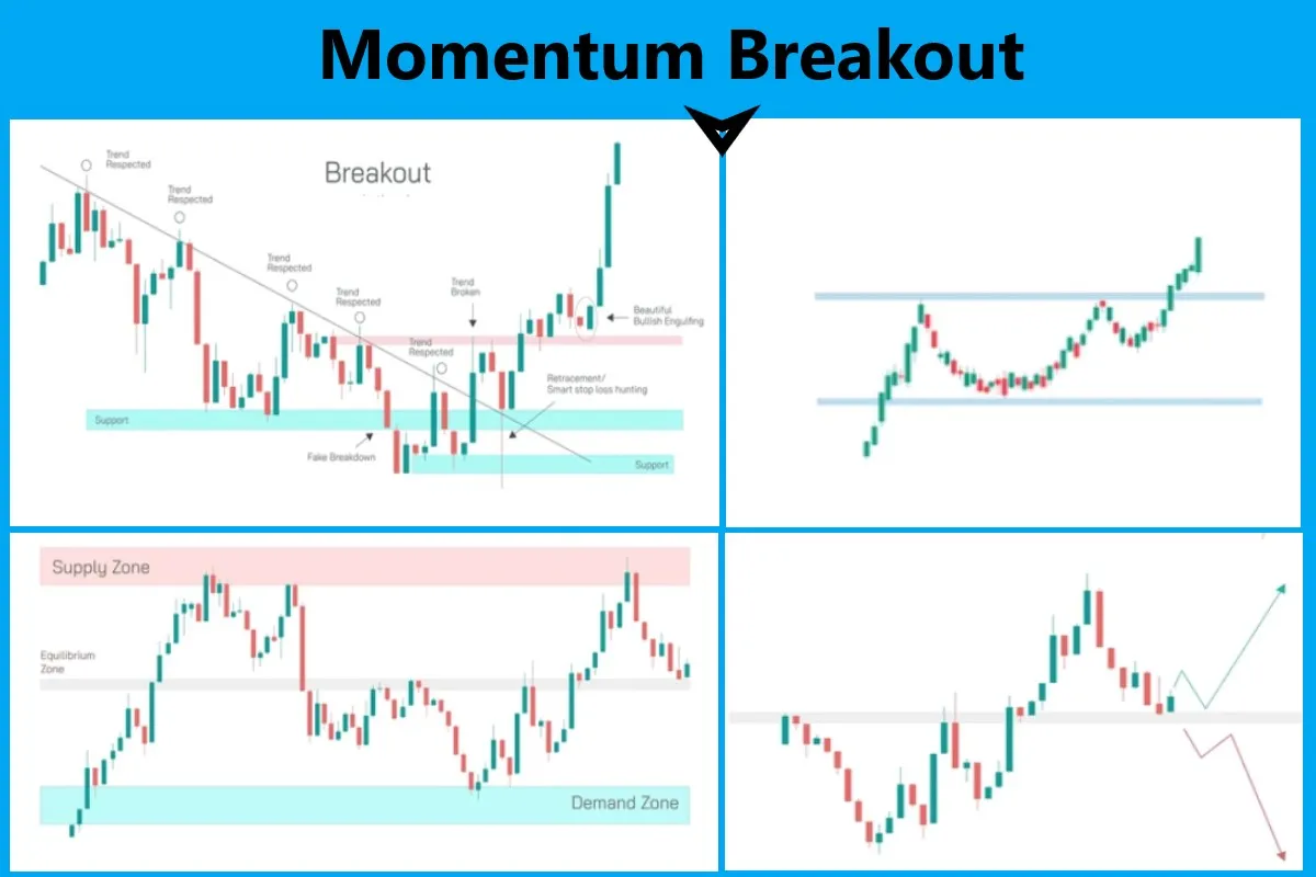 Best Momentum Stocks to buy today for 15 - 20% profit